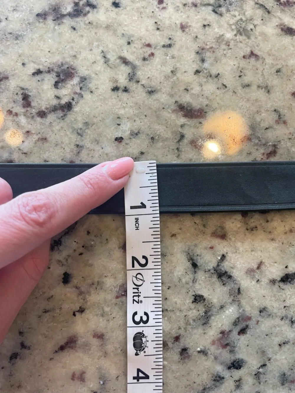 Express Black Leather Belt with Floral Silver Buckle